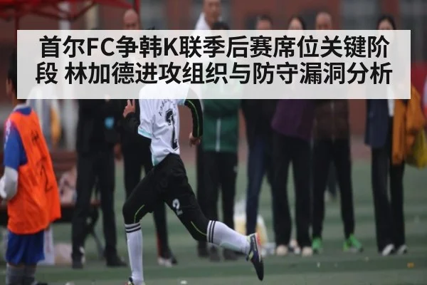 首尔FC争韩K联季后赛席位关键阶段 林加德进攻组织与防守漏洞分析