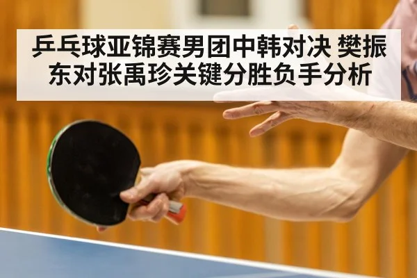 乒乓球亚锦赛男团中韩对决 樊振东对张禹珍关键分胜负手分析
